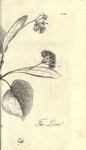 art의 최고 인기 이미지 21개 | 그리기, 다육 식물 및 도자기 art
