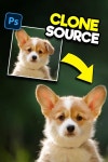 Photoshop Tutorials에 있는 핀