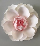 Flower에 관한 12개의 최상의 Pinterest 이미지 | 수채화, 슈가 플라워 및 강좌 Flower