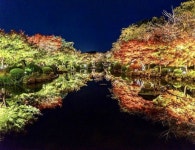 수양공원 약수터 급수시설 | Pin by 나현 이 on 사천 수양공원 in 2025 | Japan landscape, Scenery, Landscape
