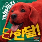 [파라마운트 영화] #클리포드더빅레드독... 클리포드더빅레드독 개봉까지 딱 한 달... 함께하개🐾 #클리포드더빅레드독,클리포드,슈퍼사이즈... 