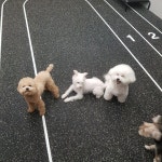 유치원이 즐거운 떡국이.^^ - 2021