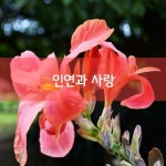 주부상식 - ◈ 세탁소가 필요 ... : 카카오스토리 | 운동화