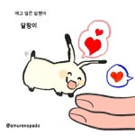 달팡이 노파도 (@amurenopado) • Instagram photos and videos | Instagram photo, Photo and video, Instagram