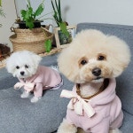 에이미러브즈펫AMYLOVESPET (@amylovespet_kr) • Instagram photos and videos