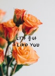 니가 좋아 I Like You