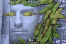 남들 눈에 ‘오징어’인 남친한테 콩깍지 씌였다는 증거 (콩깍지 테스트)