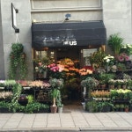 Flowershops에 있는 핀