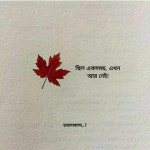 Pin page my pins에 있는 কপালকুণ্ডলা님의 핀 - 2024