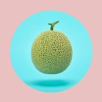 인테리어 액자 전문 플러스 아트 : Plus Art | 팝아트