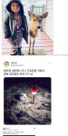재미에 있는 핀