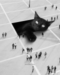 Pin by Laika on 냥냥이 | Giant cat, Cats, Dream art