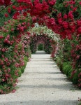 Garden에 관한 10개의 최상의 Pinterest 이미지 | 조경, 꽃꽂이 및 아름다운 정원 Garden