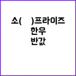 한우 최대 반값 지금 소(牛)프라이즈 세일! | 경기진