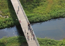 material-wood에 관한 12개의 최상의 Pinterest 이미지 | Paisajes, 조경 및 조경 설계 material-wood