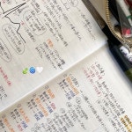 来桜(@__raa17ra.stu__) • Instagram 사진 및 동영상 Chinese Writing Notebooks and Pen