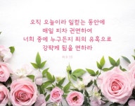 오직 오늘이라 일컫는 동안에… #성경 #성경구절