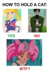 I can speak from experience (that or I just owned very aggressive cats) : sailormoon | Sailor moon funny, Watch sailor moon... 