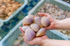 🦞 활기찬 설날 분위기와 함께, 무오이 비엔의 해산물 수조도 북적이고 있습니다. 🦞 당신이 가장 좋아하는...