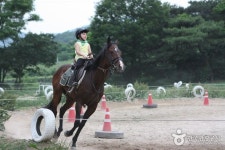 천년고도 경주에서 즐기는 경쾌한 승마체험, 서라벌승마장