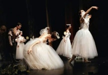 발레에 있는 Toñi Busto Pico님의 핀 | 발레