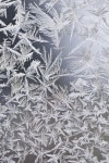 Winter에 관한 22개의 최상의 Pinterest 이미지 | 자연, 겨울 및 얼음 Winter