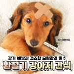 할인 / 이벤트에 있는 핀