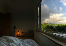 (no kids zone)자연친화적 감귤밭 정원을 통째로 즐겨보세요. - 제주시의 게스트용 별채에서 살아보기, 제주특별자치도, 한국 - 에어비앤비