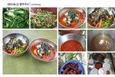 생생정보통 엔쿡 일대일 식당창업 일일비법 기술전수강좌 황금레서피 2021년  6월 1일 #열무냉국수 #열무비빔국수 #열무백김치 - 2021