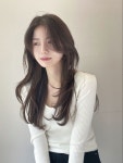 Long에 있는 디오브 도산님의 핀 - 2023 | 머리 스타일, 머리, 스타일