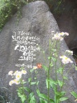 Pin page 다솜캘리그라피 panosundaki Pin, 2024