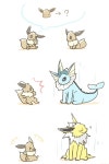 포켓몬 만화-(브이즈 일루전)