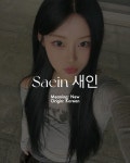 Saein 새인
