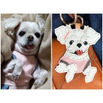 petstagram #dogstagram #멍스타그램 #독스타그램 #견스타그램 #펫스타그램 #말티즈 #말티즈스타그램 #말티스타그램 #말티 #말티즈그램