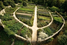 Permaculture | 정원 가꾸기, 정원 아이디어, 퍼머컬쳐