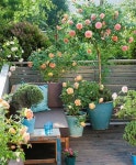 Ideas For a Queen https://gardenmagz.com/50-spring-balcony-ideas-for-a-queen/ #Balc… | 정원 가꾸기, 작은 정원, 코티지 가든