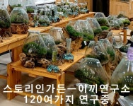 이끼연구소