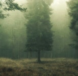 Art에 관한 23개의 최상의 Pinterest 이미지 | Chloe, 아크릴 및 Louisiana art Art