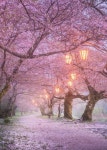 {title}(이미지 포함)