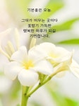 기분좋은 오늘.