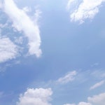 주식회사블루망고커머셜 | BLuE에 있는 김망고 (mangokim)님의 핀