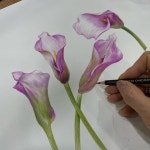 Pin page Haeryunlee   artist  이해련 on Instagram: 계속해서 짬짬이 카라그리기💕 Continue… drawing calla when I have... 