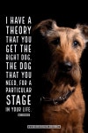 Dogs에 관한 1690개의 최상의 Pinterest 이미지 | 강아지, 개와 고양이 및 새끼 고양이 Dogs 
