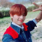 따뜻한 봄날에 화보 찍어서 좋았던 퍼스트룩 화보~ #StrayKids#STAY#IN스타그램#🌸🦊🌸 | Mixtape, Kim, Lee