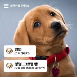 댕댕아 축하해 사랑해 세계 강아지 날 축하하기 wcha.it/3L6soeR - 2022 | 강아지, 사랑해, 웹디자인 댕댕아 축하해 사랑해  세계... 