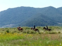 1194집 창원, 북면수변생태공원에는 금계국이 활짝 피어 있고... : 네이버 블로그 - 2020 | 풍경 사진
