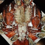 깅원도 철원 킹콩하우스