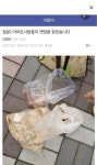 입주민들이 잠복해서 캣맘 잡았고 112에 신고 함