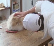 박보검 < 효리네 민박2 > 7회 180318 [ 출처 : 디시 박보검갤러리 http://gall.dcinside.com/board/view/?id=parkbogum&no=490625 ]