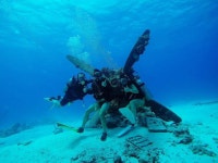 saipan / scuba / Guest House / 사이판 / 여행 / 스킨스쿠버 / 민박에 있는 Saipan Marine Dive Co.,LTD님의 핀 | 여행